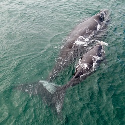 South Africa
